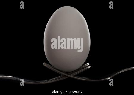 oeuf blanc sur deux fourches croisées sur fond noir. gros plan, espace de copie, horizontal Banque D'Images