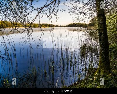 Un matin ensoleillé de printemps à Coate Water à Swindon. Banque D'Images