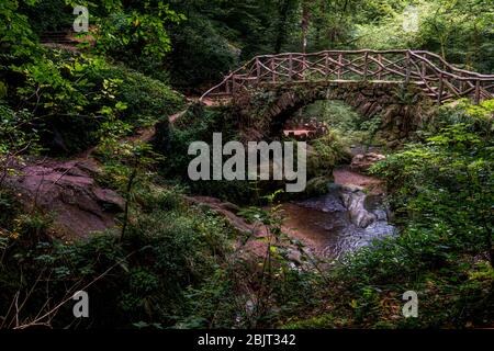 Forêt mystique filmée avec pont sur des cascades en cascade au Luxembourg - les trois petites cascades connues sous le nom de Schiessentuempel à Mullerthal, Luxembour Banque D'Images