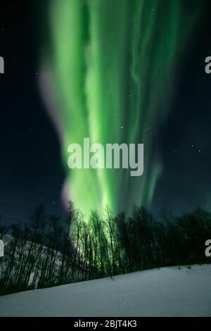 Les lumières du Nord s'élèvent au-dessus d'un paysage enneigé, Tromsø, Norvège Banque D'Images