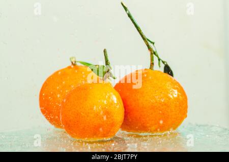 les tangerines oranges avec une branche et les feuilles se tiennent dans l'eau sur le verre sous des gouttes d'eau sur un fond blanc Banque D'Images