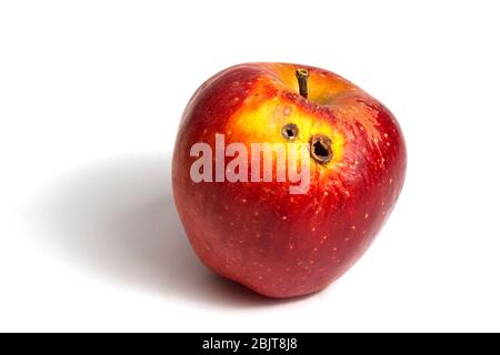 Pomme à ver rouge avec deux trous de pourriture sur fond blanc Banque D'Images