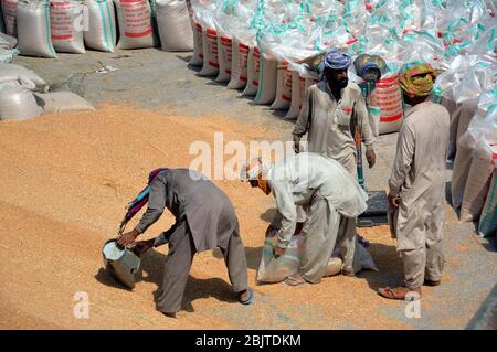 Les travailleurs sont occupés à travailler la veille de la Journée internationale du travail, à Ghala Mandi, à Gujranwala, le jeudi 30 avril 2020. Banque D'Images