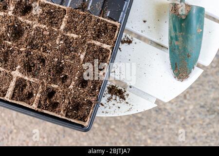 Vue de dessus du kit de démarrage de semences rempli de sol sur la table en bois blanc avec la rade de jardin Banque D'Images