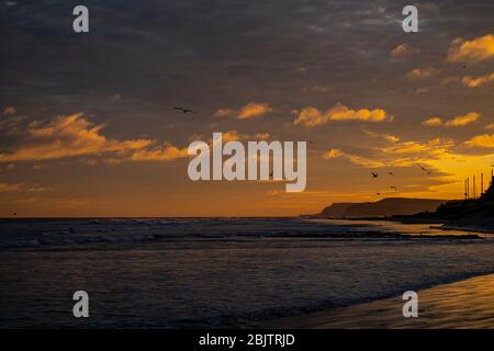 chasser la falaise, la falaise de boulby et la tête falmbrugueuse de redcar, north yorkshire, royaume-uni Banque D'Images