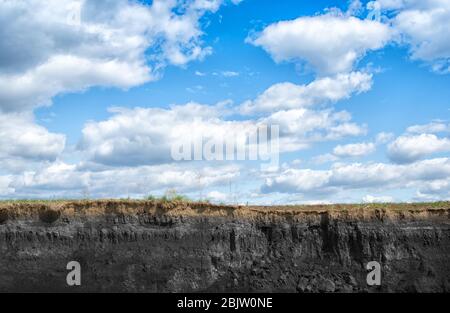 Section stratigraphique du sol avec couches et racines d'herbe. Banque D'Images