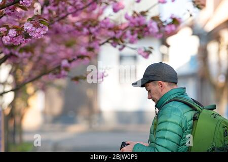 Photographe prenant photo de cerisier japonais rose en journée ensoleillée de printemps. Sakura. Banque D'Images