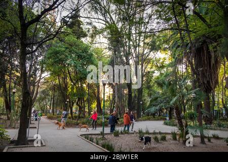 Parque España dans le quartier Condessa, Mexico, Mexique Banque D'Images
