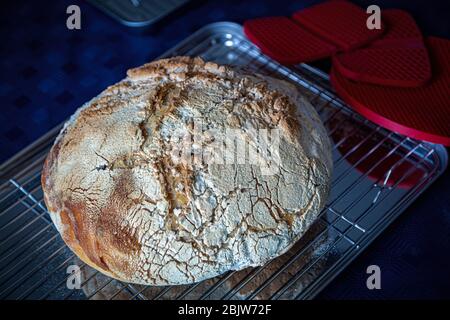 Pâte à soupe maison fait du pain, cuit au four néerlandais. Banque D'Images