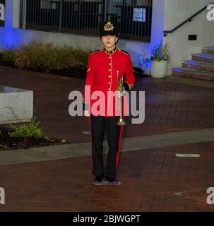 Brentwood Essex, Royaume-Uni. 30 avril 2020. Clap pour NHSCarers à l'Hôtel de Ville de Brentwood avec un salut de trompette joué par Sidonie Holmes (14) de Brentwood Imperial Youth Band crédit: Ian Davidson/Alay Live News Banque D'Images