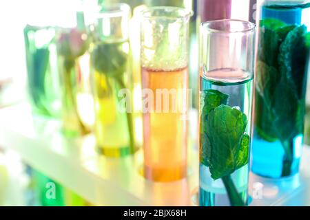 Tubes en verre avec différentes huiles de parfum dans le rack Banque D'Images