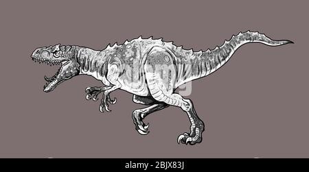 Dinosaure carnivore - Allosaurus. Dessin isolé Dino. Banque D'Images