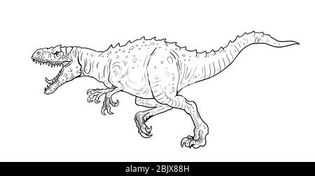 Dinosaure carnivore - Allosaurus. Dessin isolé Dino. Banque D'Images