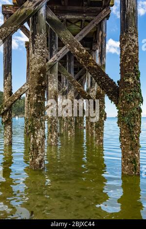 Amarrez Bowman Bay dans Deception Pass State Park, Fidalgo Island, Washington State, États-Unis Banque D'Images