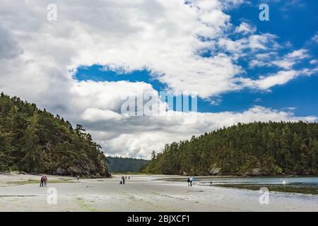 Visiteurs explorant la plage de Bowman Bay à marée basse dans le parc national de Deception Pass, l'île de Fidalgo, l'État de Washington, États-Unis [pas de sortie de modèle; disponibilité Banque D'Images