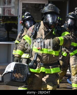 Racine, Wisconsin, États-Unis. 30 avril 2020. ELENA BARRON est réunifiée avec ses chats DaVinci et DEXTER par les pompiers de racine, Wisconsin après avoir été incendiée à travers son appartement et d'autres dans le centre-ville de racine jeudi 30 avril 2020. Crédit: Mark Hertzberg/ZUMA Wire/Alay Live News Banque D'Images