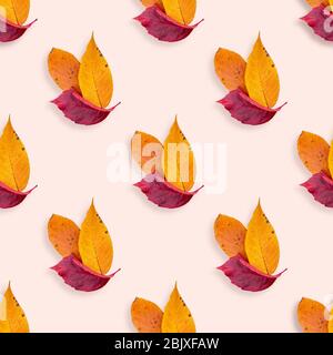 Motif automne sans couture à partir de feuilles de chute rouges et orange sur fond beige. Arrière-plan tendance avec vue sur le dessus Banque D'Images