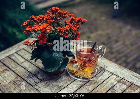 Tasse de verre de thé sain à base de plantes avec miel, à côté de fleur en fleurs - pot plante kalanchoe. Installé sur une table en bois rétro à l'extérieur dans le jardin. Banque D'Images