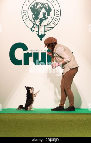 CRUFTS: Heelwork to Music Competition le 5 mars 2020 Banque D'Images