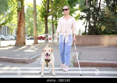 Jeune femme aveugle avec chien-guide crossing road Banque D'Images