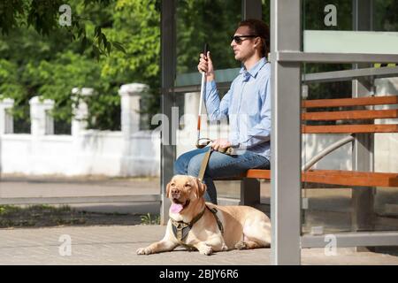 Jeune homme aveugle avec chien-guide en attente pour le bus à l'extérieur Banque D'Images