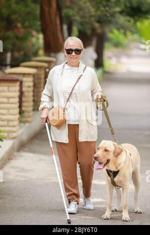 Blind woman chien-guide à l'extérieur Banque D'Images