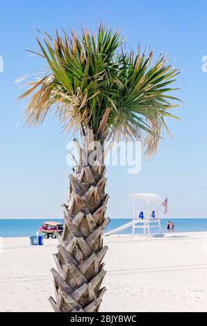 Un palmier se trouve sur la plage, devant une tour de sauveteur, le 4 mars 2016, à Gulf Shores, Alabama. Banque D'Images