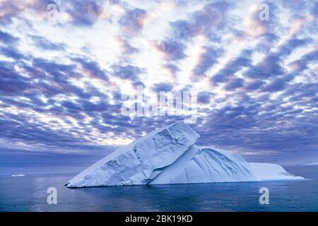 Iceberg flottant dans l'océan antarctique Banque D'Images