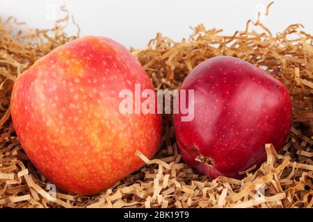 Deux pommes rouges reposent sur une paille Banque D'Images