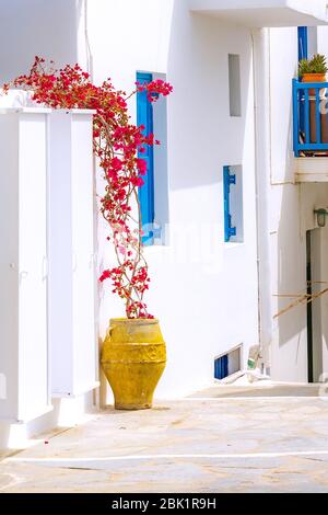 Mykonos, Grèce vue célèbre sur la rue de l'île avec des maisons blanches et bleues et des fleurs rouges dans le vase jaune Banque D'Images