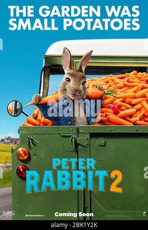 DATE DE SORTIE: Janvier 2021 TITRE: Peter Rabbit 2: The Runaway STUDIO: Sony Pictures animation DIRECTOR: Wera Gluck PLOT: Thomas et Bea sont maintenant mariés et vivent avec Peter et sa famille de lapins. Ennuyé de la vie dans le jardin, Peter va à la grande ville, où il rencontre des personnages ombragés et finit par créer le chaos pour toute la famille. AVEC: Affiche Peter Rabbit (image de crédit: © Sony Pictures animation/Entertainment Pictures) Banque D'Images