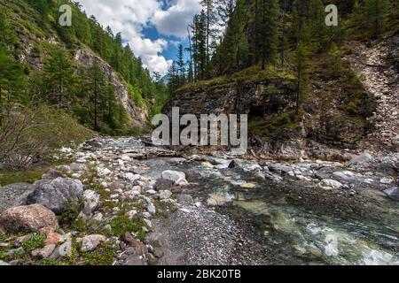 Une petite rivière de montagne traverse la gorge. Beaucoup de pierres dans le lit de la rivière et les forêts le long des bords. Horizontal. Banque D'Images