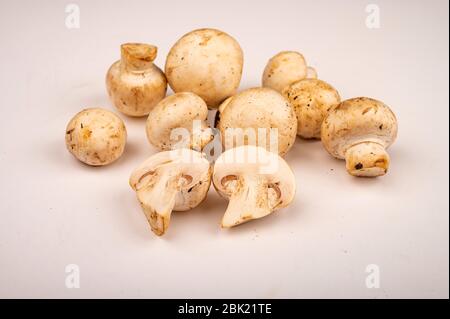 Moitiés de jeunes champignons coupés et de jeunes champignons dispersés sur un fond blanc. Gros plan Banque D'Images