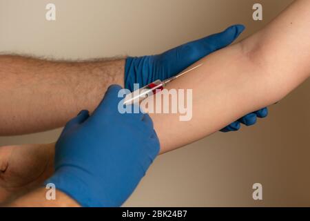 un médecin en gants jetables prend du sang de la veine du patient pour analyse Banque D'Images