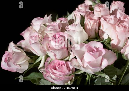 Gros plan d'un bouquet de fleurs avec des roses roses roses isolées sur fond noir Banque D'Images