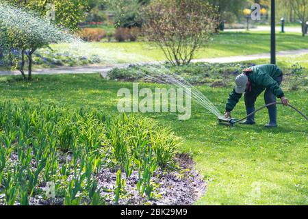 Fille arrosant des fleurs avec un système d'irrigation automatique équipement arrosage de jardin outil Banque D'Images