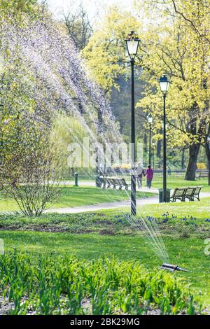 Arrosage de jardin ou de parc au printemps, vertical Banque D'Images