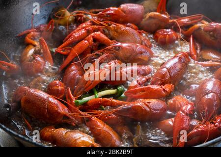 Écrevisses épicées chinoises, cuisine chinoise Banque D'Images