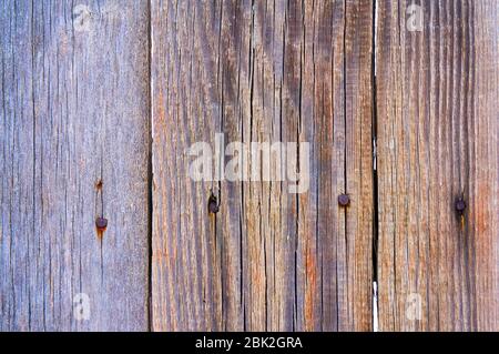 Ancien bouclier en bois avec rayures et copeaux. Banque D'Images