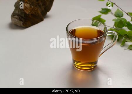 Tasse avec branches de thé et de bouleau chaga, champignons sur fond blanc. Espace de copie. Banque D'Images