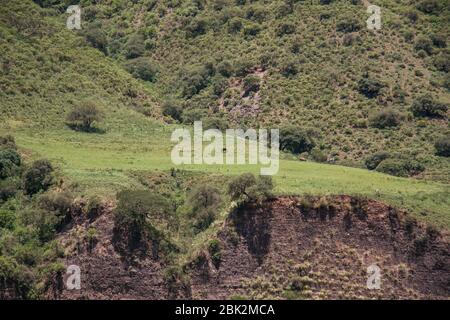 Paysages magnifiques, sur la route de Jujuy, Argentine Banque D'Images