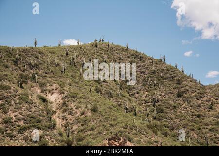 Paysages magnifiques, sur la route de Jujuy, Argentine Banque D'Images