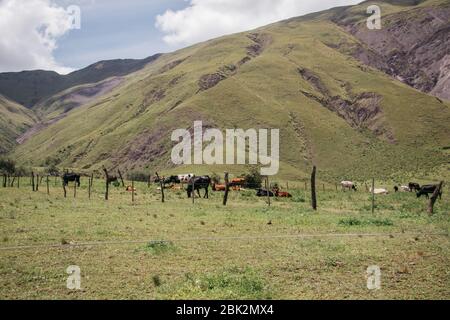 Paysages magnifiques, sur la route de Jujuy, Argentine Banque D'Images