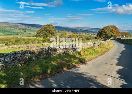 Wensleydale couleurs d'automne, près du village de Hawes, Yorkshire, Angleterre, Royaume-Uni Banque D'Images