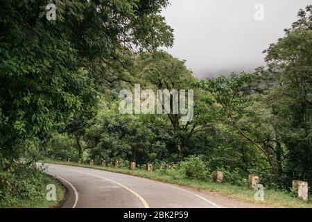 Paysages verts, sur la route de Jujuy, Argentine Banque D'Images