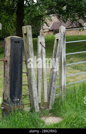 Une enlissime se trouve dans une clôture sur un sentier de campagne à Warwickshire, en Angleterre. ROYAUME-UNI. Banque D'Images