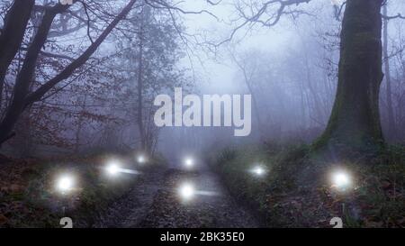 Une piste forestière. Sur une soirée brumeuse. Entouré de lumières surnaturelles lumineuses Banque D'Images