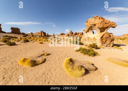 Érodé et bizarre formé des rochers et des rochers de couleur orange dans la Valle de Rocas, ou la vallée de pierre, dans le désert du sud de la Bolivie Banque D'Images