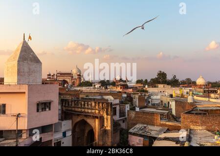 Inde, vue sur la ville pauvre Agra et Taj Mahal en arrière-plan Banque D'Images
