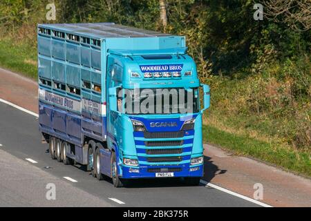 Woodhead Bros. de l'élevage et l'industrie de la viande britannique général entreprise de transport routier ; transport de marchandises lourdes en vrac les camions de livraison, transport, camion, transport, camion, véhicule Scania, fret, livraison, transport des animaux, de l'industrie sur la M6 à Lancaster, UK Banque D'Images